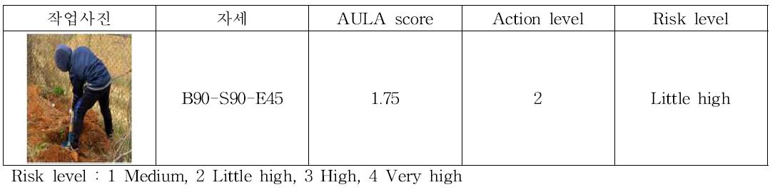 AULA 이용한 삽 작업의 위험수준 평가