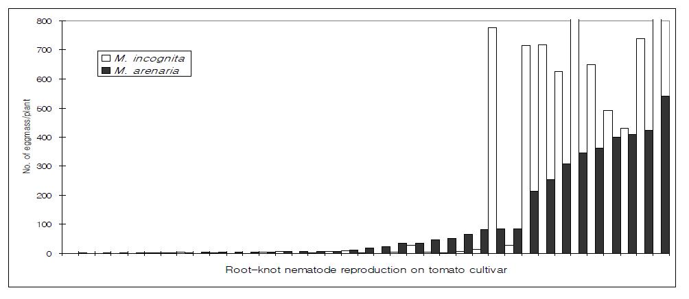 Reproduction of Meloidogyne incognita and M. arenaria on 36 commercial tomato cultivars.