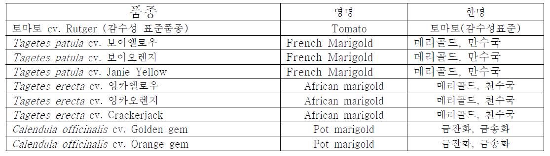 시험에 사용된 금잔화 및 메리골드 종류