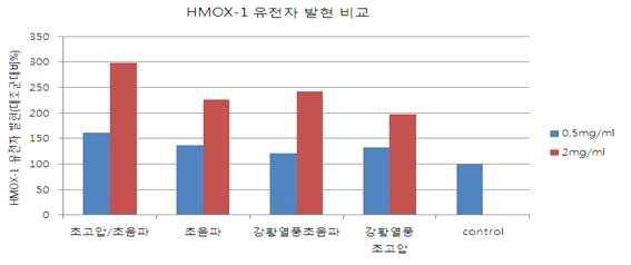 강황잎 추출물의 HMOX-1 유전자 발현 효능