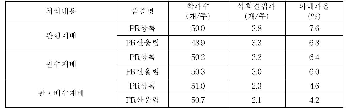 처리별 생육초기 석회결핍과 발생현황