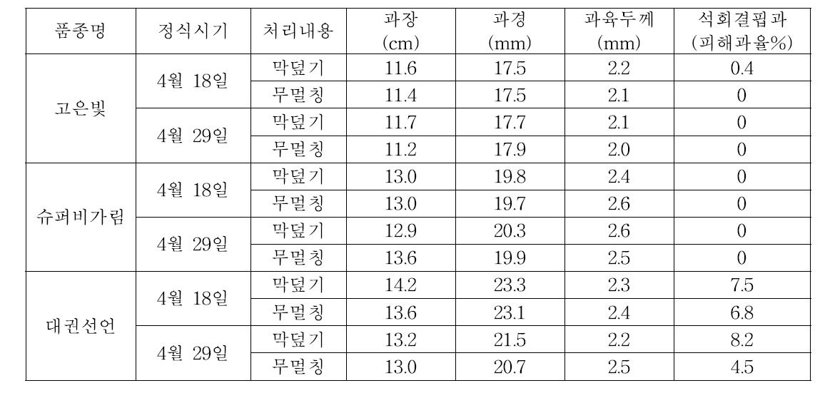 품종별 정식 시기와 막덮기 멀칭에 따른 생육과 석회결핍과 발생정도