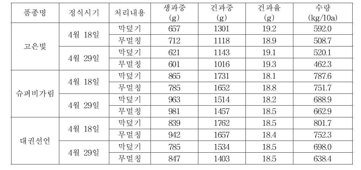 품종별 정식 시기와 막덮기 멀칭에 따른 수량구성요소