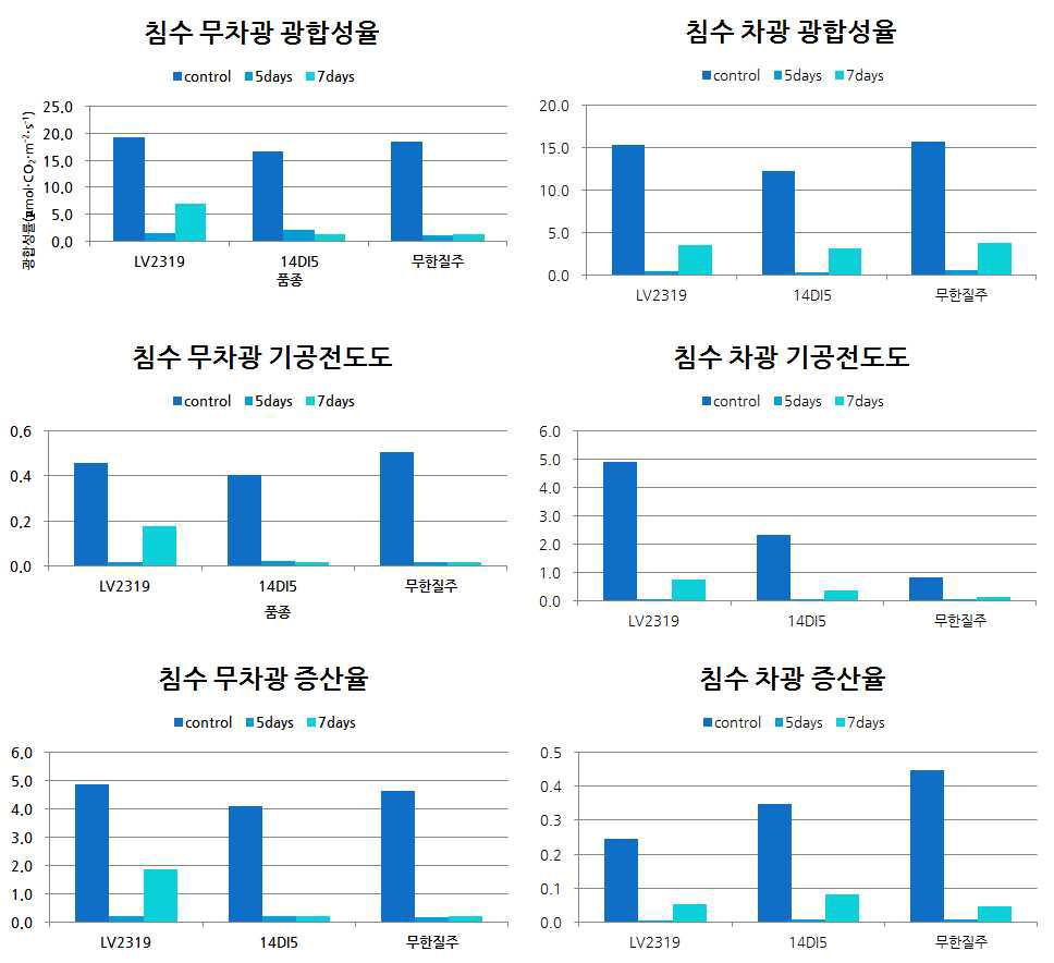 침수처리 종료 3일 후 처리구별 광합성 특성