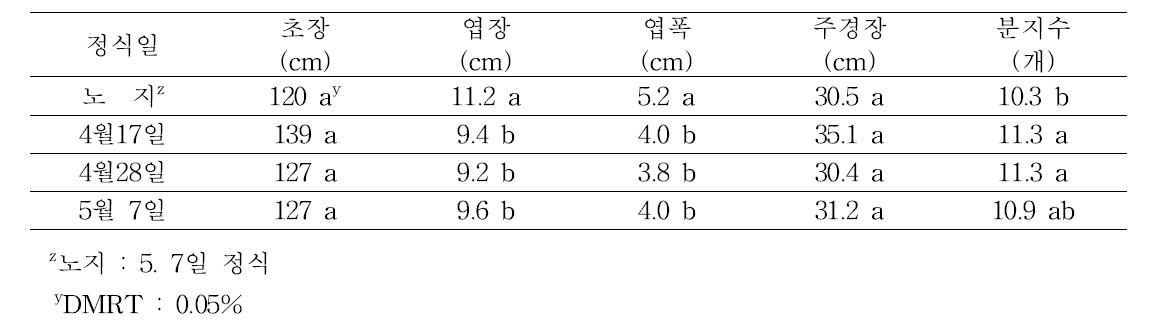 정식시기별 금마루 품종의 생육