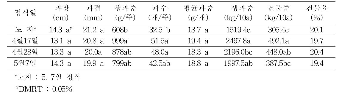 정식시기별 금마루 품종의 품질 및 수량