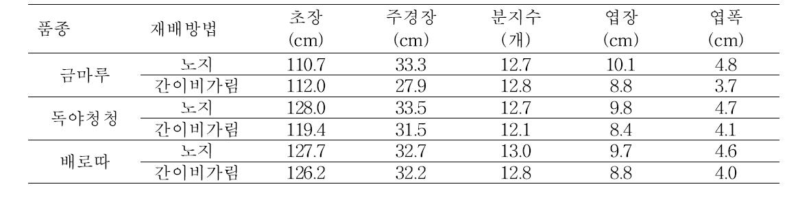 고추 논 간이비가림재배시 품종별 생육