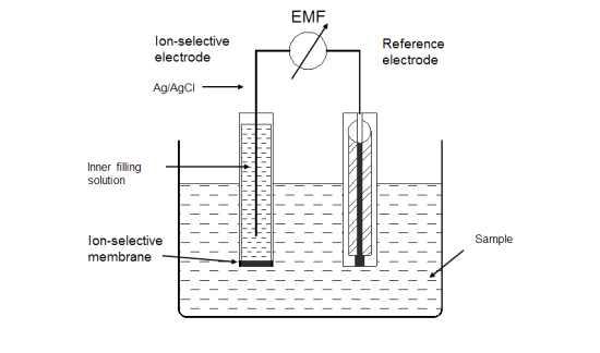 Schematic diagram of a membrane electrode