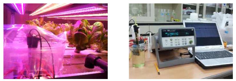 상추양액에 설치된 전극(왼쪽)과 측정에 사용된 다채널 데이터로거(오른쪽)