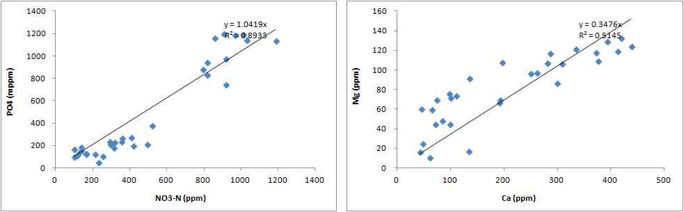 1차 상추의 N/P 상관관계 (좌), Ca/Mg의 상관관계 (우)