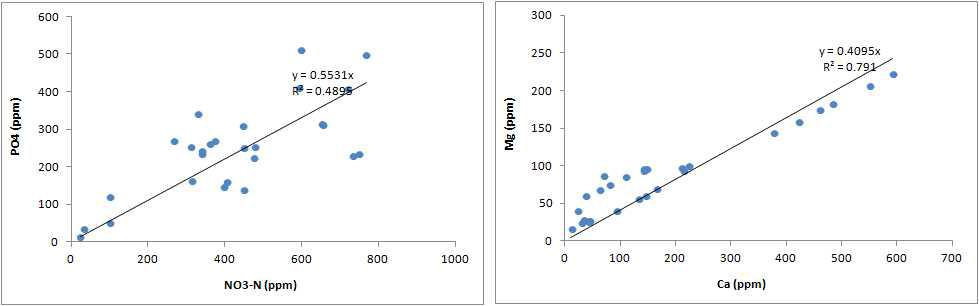 2차 상추의 N/P 상관관계 (좌), Ca/Mg의 상관관계 (우)
