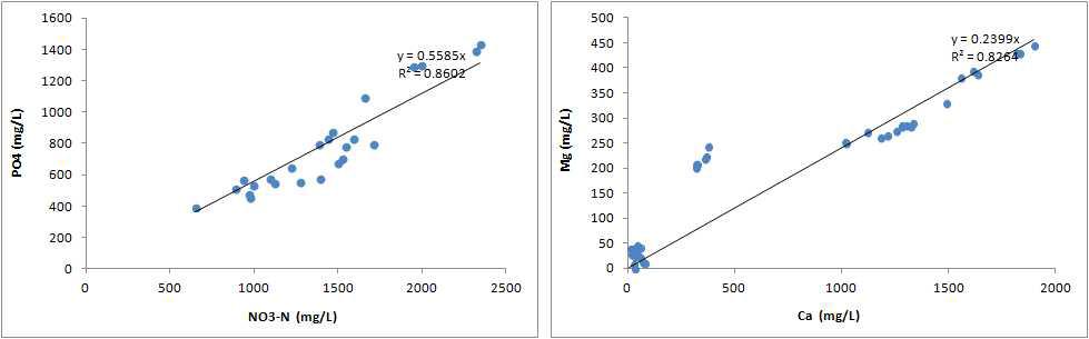 청경채의 N/P(좌), Ca/Mg(우)의 상관관계