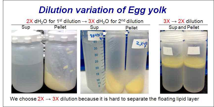 난황 내 지질 분리방법 확인
