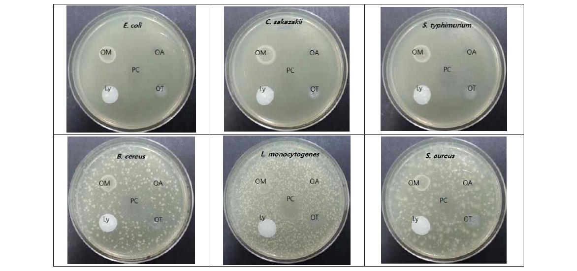 난백유래 유용물질의 항균활성 평가