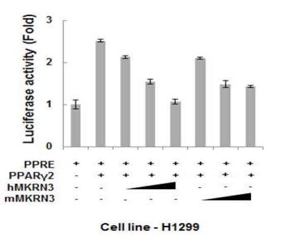 MKRN3의 PPARγ의 transcriptional activity 억제능 확인