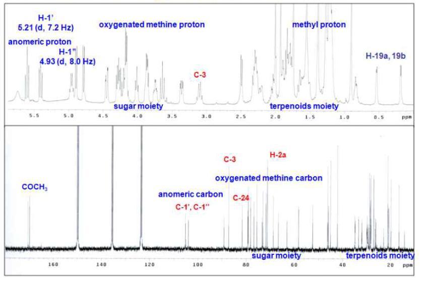 1H-NMR(400 MHz, pyridine-d ) and C-NMR spectrum of compound 1 from Astragali radix.