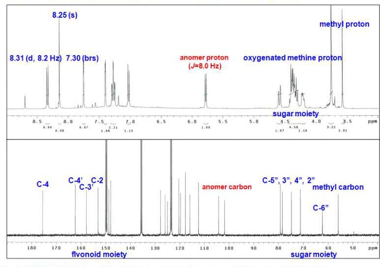1NMR(400 MHz, pyridine-d ) and C-NMR spectrum of compound 2 from Astragali radix.