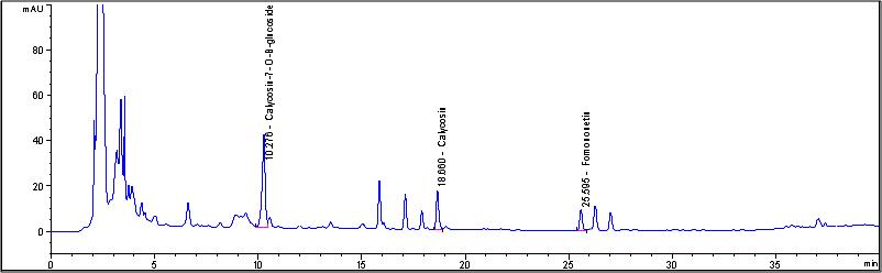 The HPLC chromatogram of test product from raw materials of dred Astragali radix.