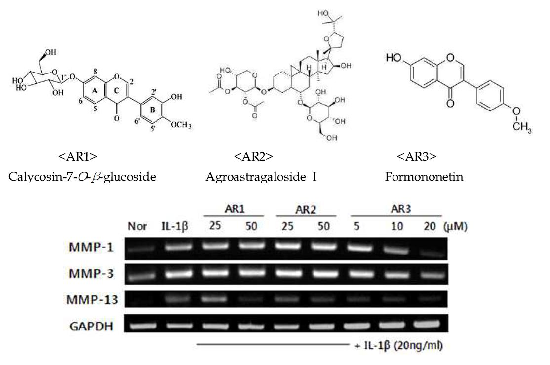 MMPs mRNA expression in IL-1β and 3 single compounds isolated from AR50PRF treated SW1353 chondroma cell