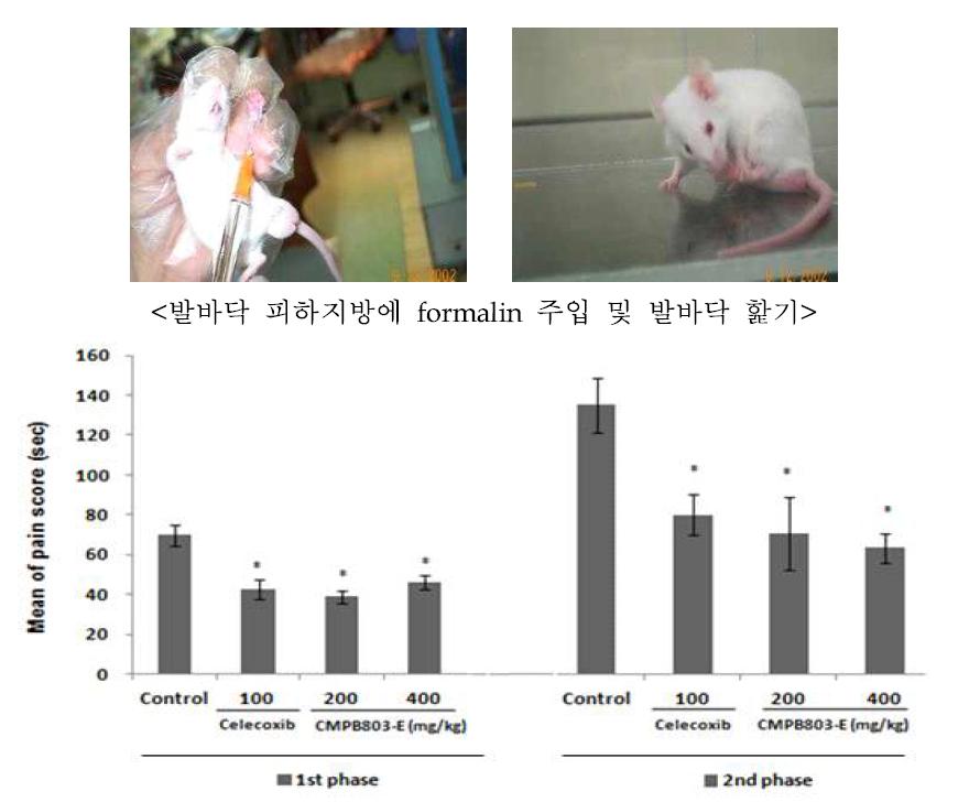 Analgesic effect of CMPB803-E in formalin-induced pain test.