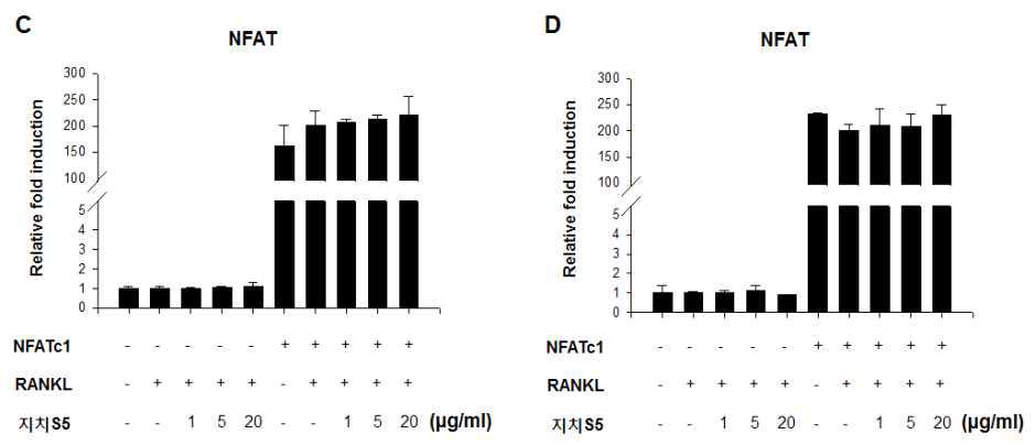 The effects of S5 on transcriptional activity of AP-1 and NFAT in HEK293.