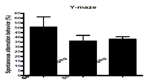 Y-MAZE를 이용한 Scopolamine 농도 결정 실험