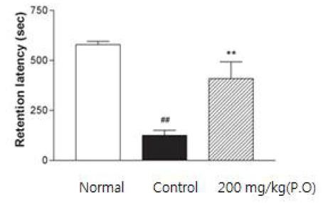 β-amyloid(1-42)로 유도된 인지기능 저하동물(SD rat)에서 노루궁뎅이버섯 추출물 투여를 통한인지기능 개선 확인 실험.
