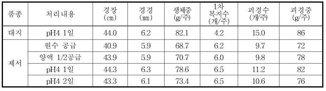 가을 수경재배시 괴경형성 처리방법별 생육 및 수량특성(2012년)