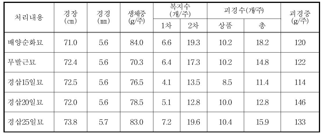 봄 수경재배에서 묘 종류별 생육 및 수량특성(2013)