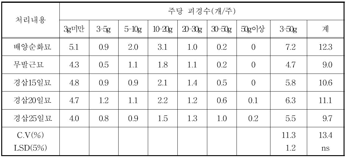 가을 수경재배에서 묘소질별 주당 괴경수 변화