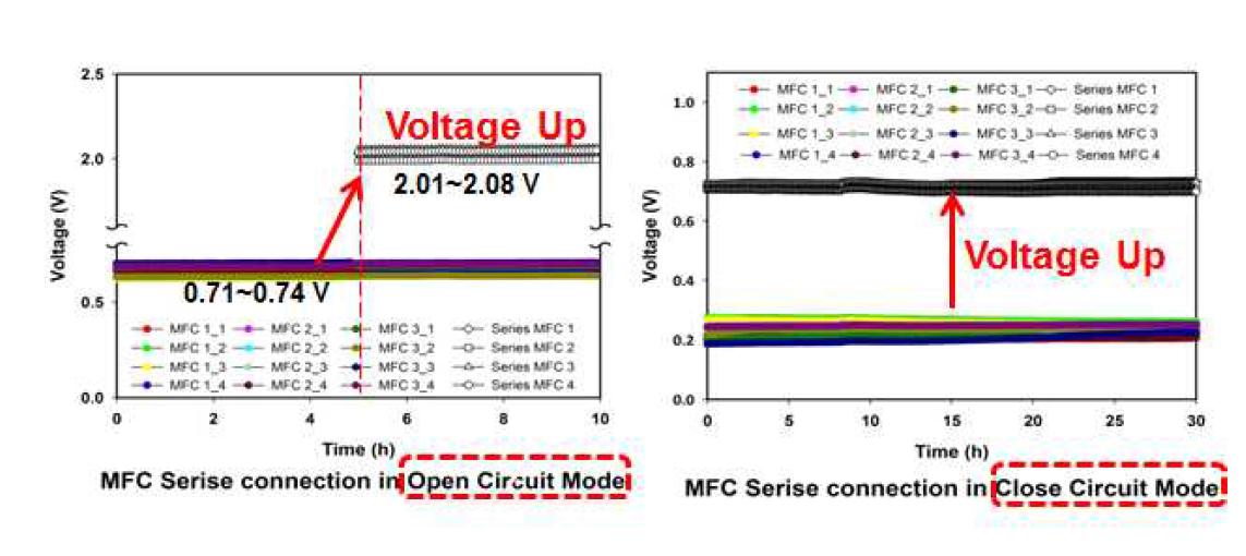 미생물연료전지의 전압 측정 (직렬연결 전과 후; 좌측 열린회로;우측 닫힌회로)