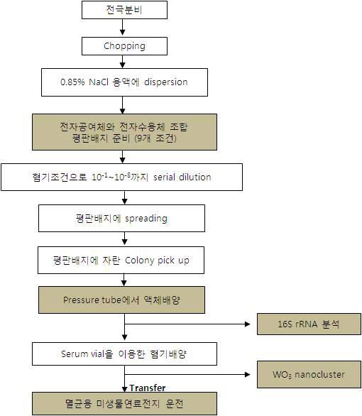 전기활성 미생물의 분리 배양을 위한 조건 탐색 실험 프로세스