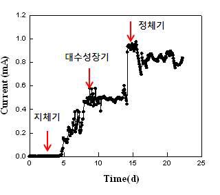 농화배양