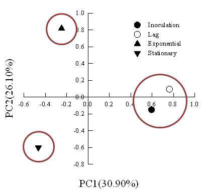 DGGE 결과로부터 밴드 농도를 이용한 주성분 분석 (Principal component analysis)