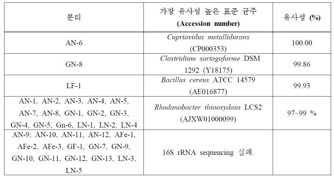 분리 균의 16s rRNA 염기서열 분석 결과