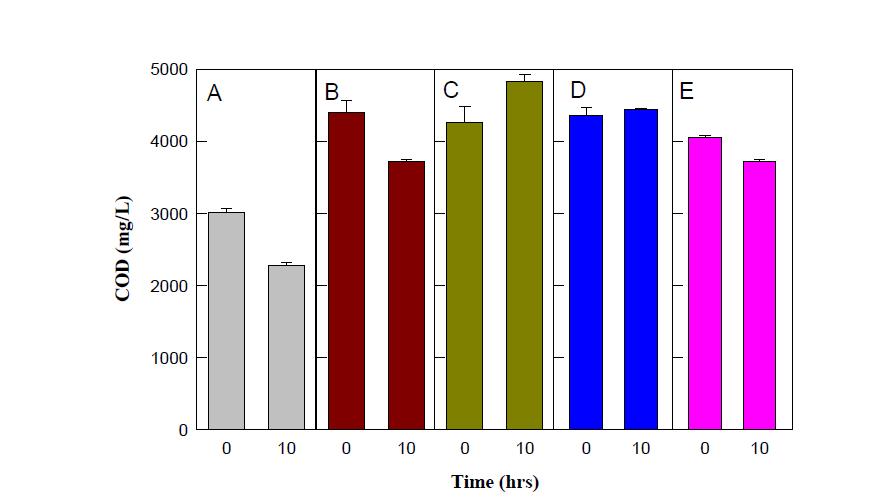 각 균주의 COD 제거