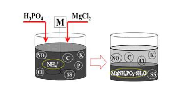 Struvite precipitation의 공정도
