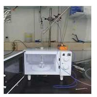 Microwave radiation 시스템