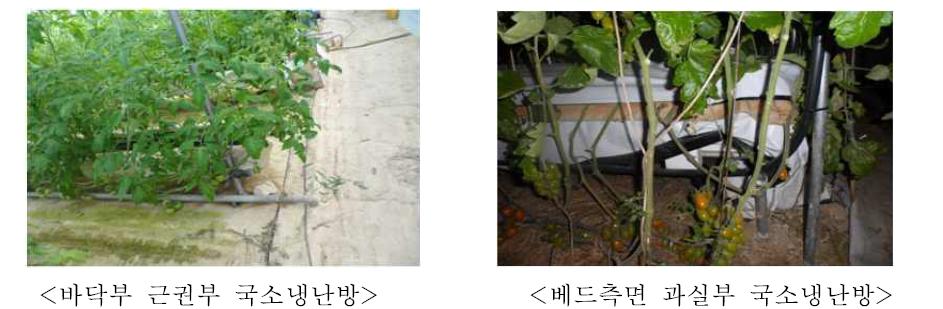 토마토 재배시 바닥부 근권난방 및 베드측면 과실부 난방 사례