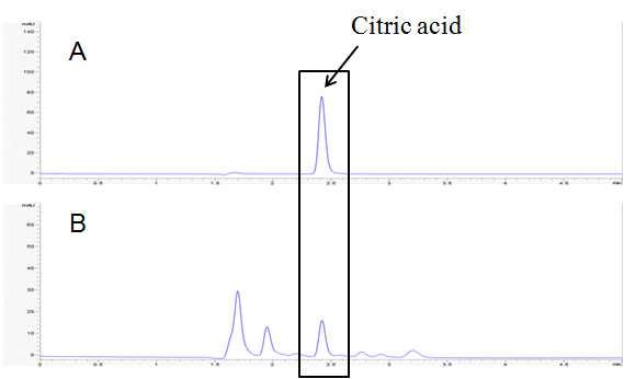 Contents of citric acid in honey maesil(Prunus mume) extract by HPLC A; Citirc acid standard, B; honey maesil
