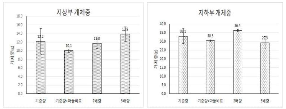 퇴비시비량별 마늘 지하부 및 지상부 개체중