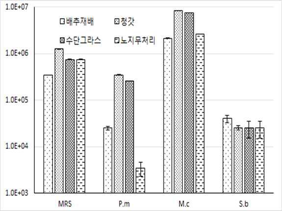 녹비처리별 배양 미생물 밀도