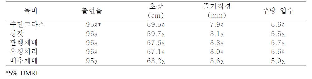 녹비재배 후 유기재배 한지형 마늘의 생육