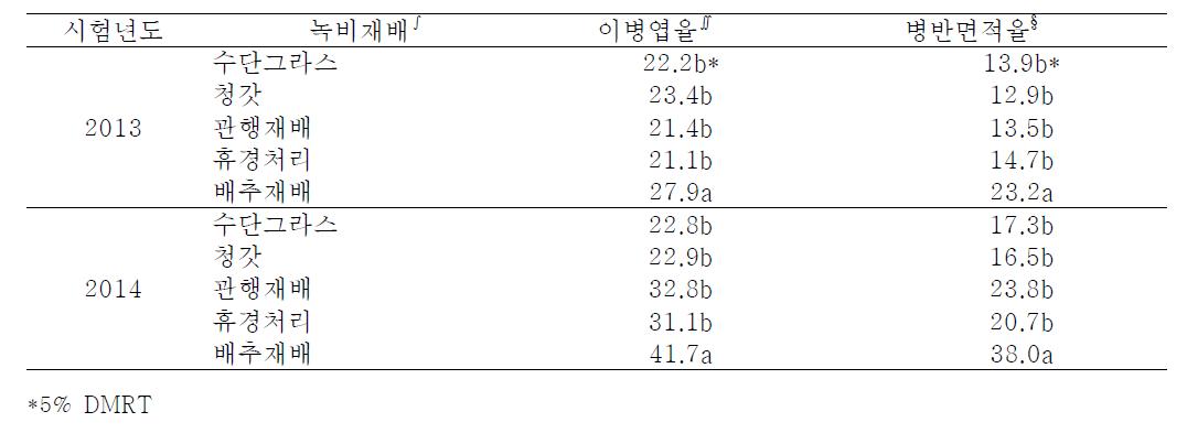 녹비재배 후 마늘잎마름병 발생.