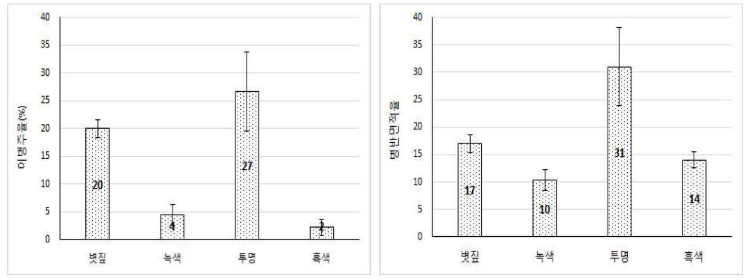 멀칭처리별 잎마름병 이병주율 및 병반면적율