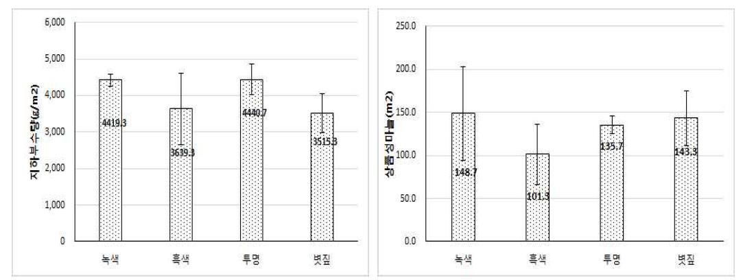 멀칭처리별 수량 특성