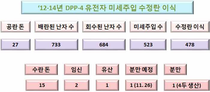 DPP-4 유전자 도입에 의한 형질전환동물 이식 현황