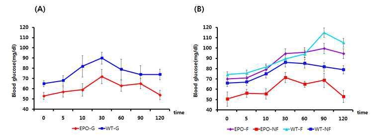 Level of blood glucose (mg/dl) on wild type and EPO transgenic pig with oral glucose tolerance test (OGTT), (A) Before High-energy diet, (B) after 42 weeks High-energy diet