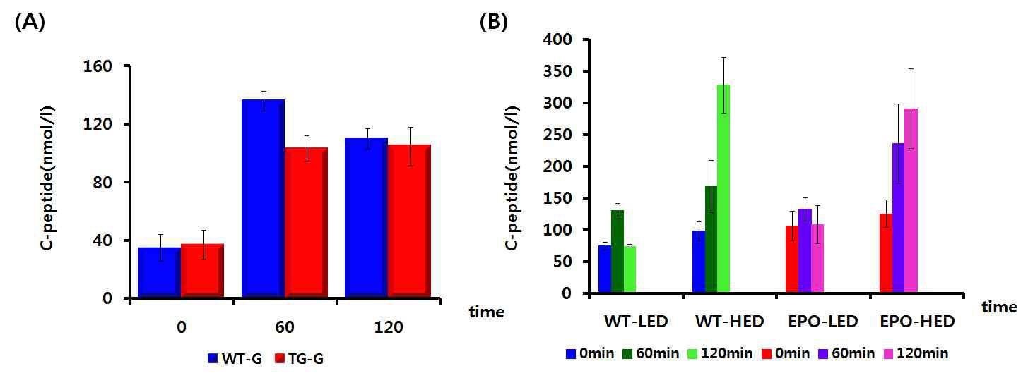 Level of C-peptide (nmol/l) on wild type and EPO transgenic pig with oral glucose tolerance test (OGTT), (A) Before High-energy diet, (B) after 42 weeks High-energy diet