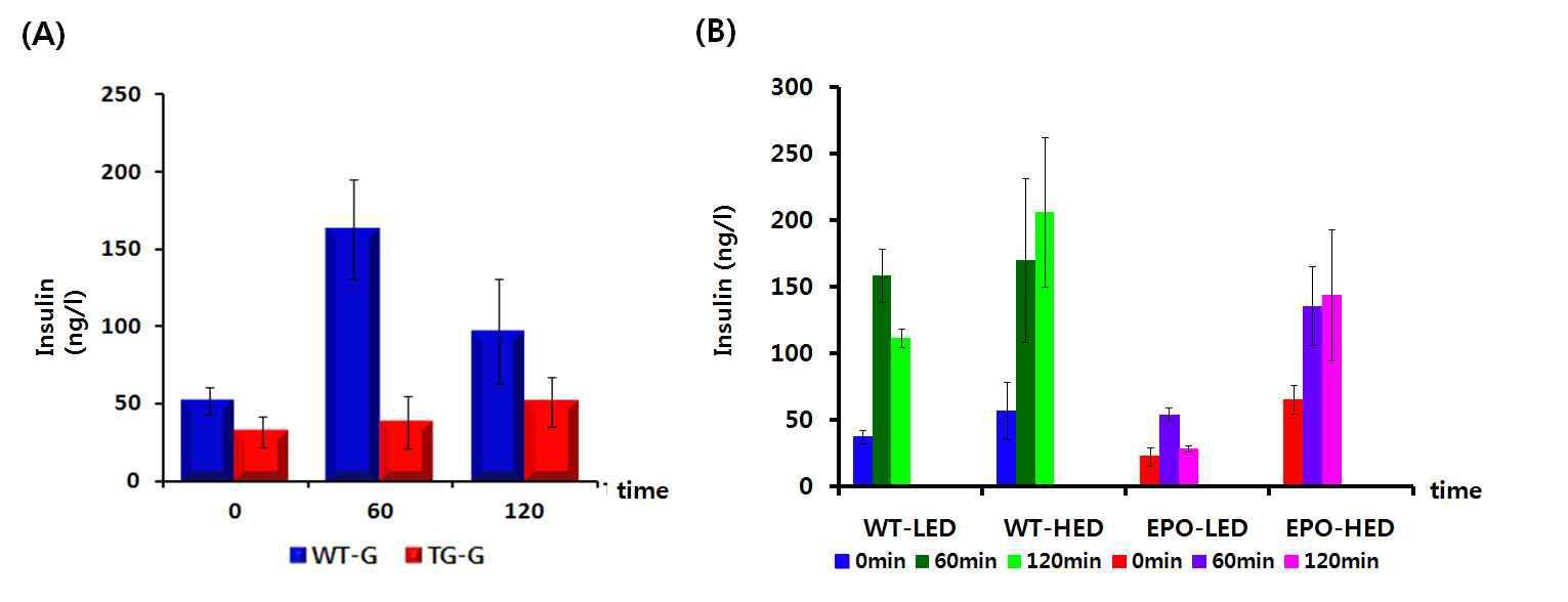 Level of insulin (ng/l) on wild type and EPO transgenic pig with oral glucose tolerance test (OGTT), (A) Before High-energy diet, (B) after 42 weeks High-energy diet